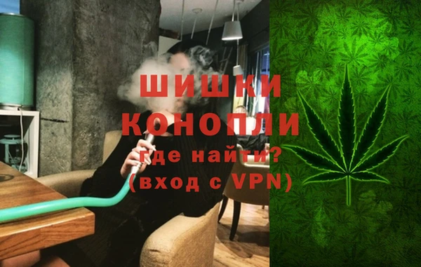 сатива Алзамай