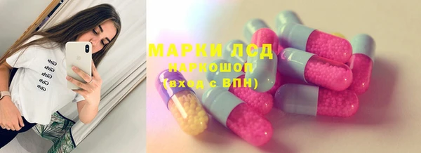 сатива Алзамай