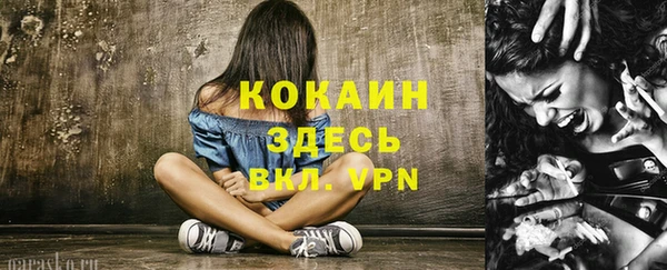 ПСИЛОЦИБИНОВЫЕ ГРИБЫ Абаза
