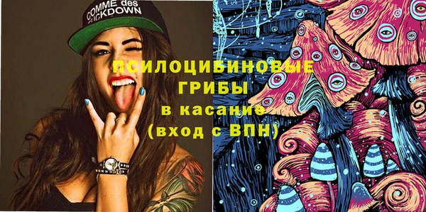ПСИЛОЦИБИНОВЫЕ ГРИБЫ Абаза