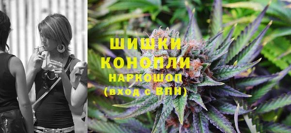 ПСИЛОЦИБИНОВЫЕ ГРИБЫ Абаза