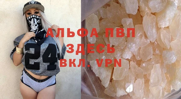 сатива Алзамай