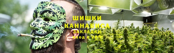 ПСИЛОЦИБИНОВЫЕ ГРИБЫ Абаза