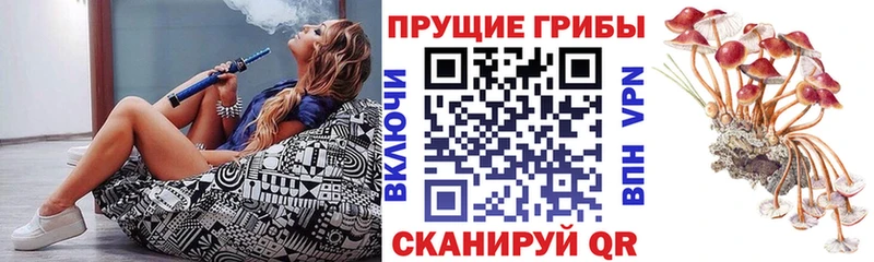цены   Мостовской  Галлюциногенные грибы мицелий 